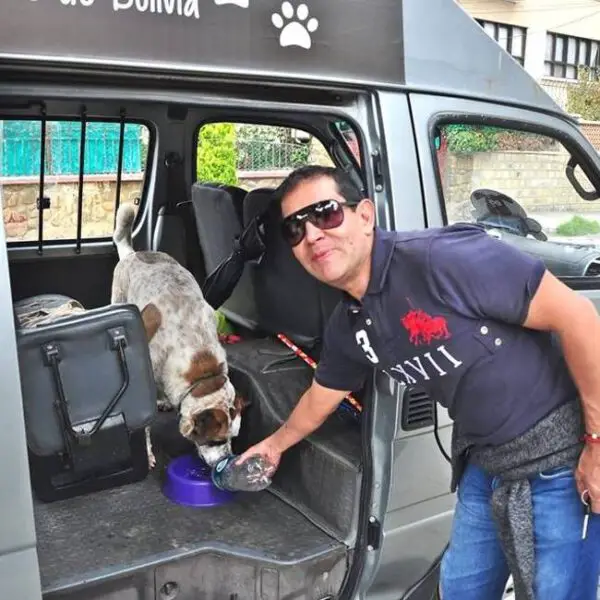 Homem encontra um jeito incrível de alimentar cães de rua