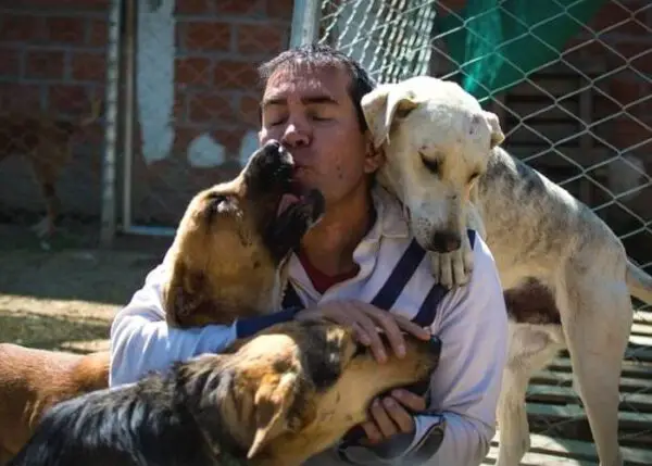 Homem encontra um jeito incrível de alimentar cães de rua Homem encontra um jeito incrível de alimentar cães de rua