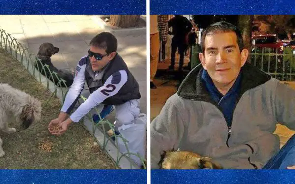Homem encontra um jeito incrível de alimentar cães de rua Homem encontra um jeito incrível de alimentar cães de rua