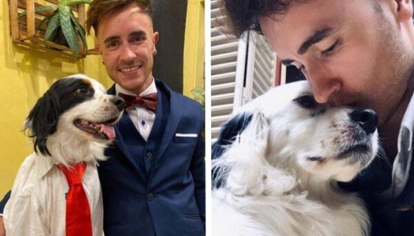 Jovem comemora formatura ao lado do cachorro amigo Jovem comemora formatura ao lado do cachorro amigo