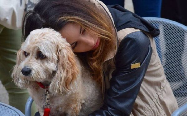 Pesquisadores descobrem que perder um cachorro pode ser tão difícil quanto perder um ente querido
