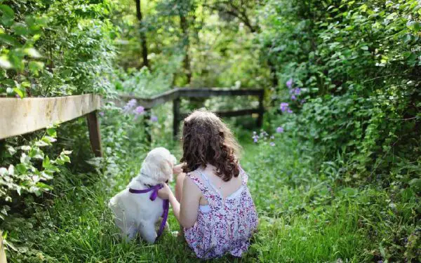 Maneiras como os cães demonstram amor