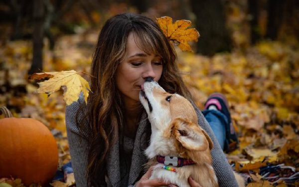 Maneiras como os cães demonstram amor