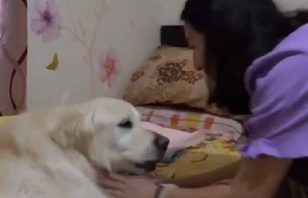 Mulher gasta todas as economias para não abandonar a cachorra doente Mulher gasta todas as economias para não abandonar a cachorra doente