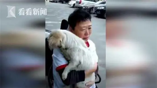 Perdida por oito anos, cachorra encontra o caminho de volta para casa Perdida por oito anos, cachorra encontra o caminho de volta para casa