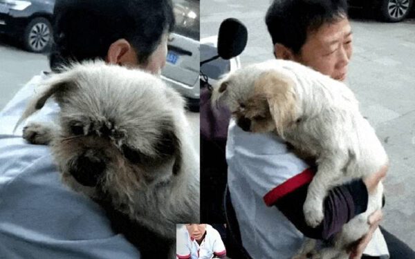 Perdida por oito anos, cachorra encontra o caminho de volta para casa Perdida por oito anos, cachorra encontra o caminho de volta para casa