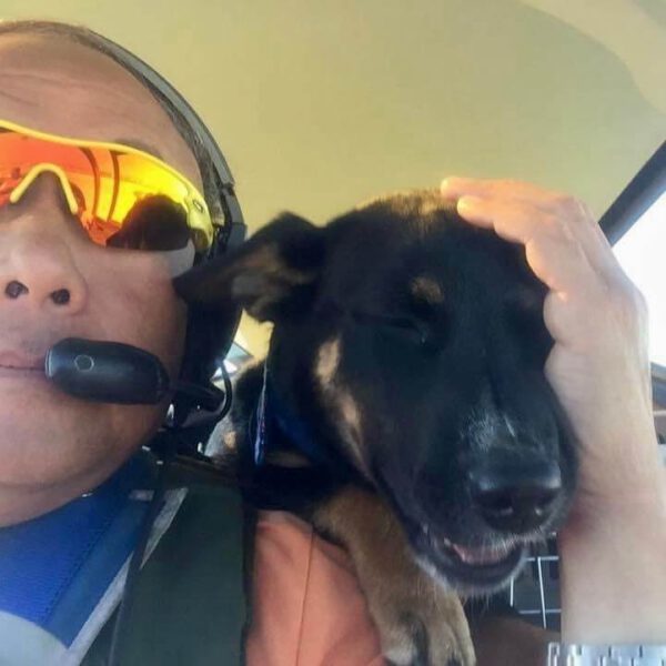 Piloto aposentado de aeronaves leva cães resgatados para seus novos lares Piloto de helicóptero aposentado leva cães resgatados para seus novos lares