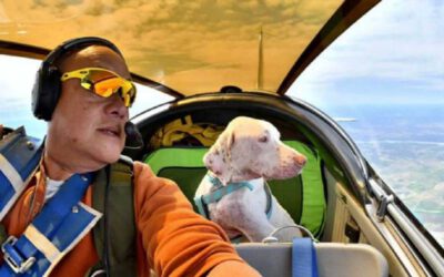 Piloto aposentado de aeronaves leva cães resgatados para seus novos lares