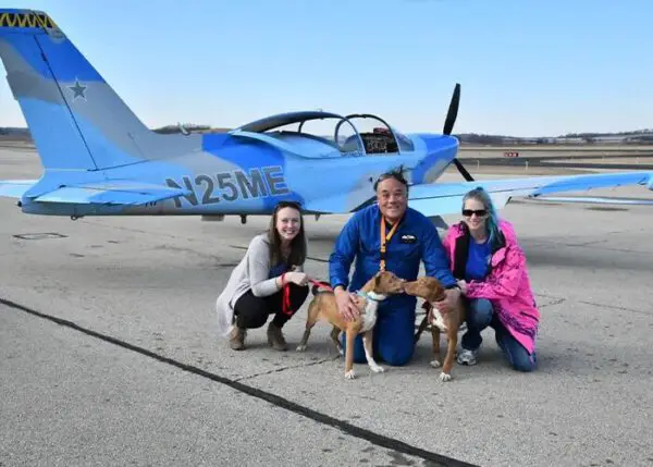 Piloto aposentado de aeronaves leva cães resgatados para seus novos lares Piloto de helicóptero aposentado leva cães resgatados para seus novos lares