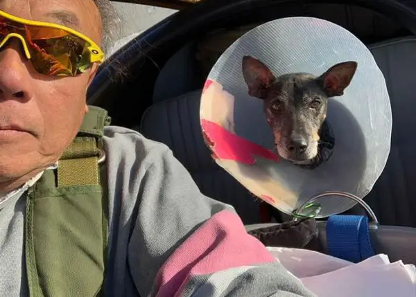 Piloto aposentado de aeronaves leva cães resgatados para seus novos lares Piloto de helicóptero aposentado leva cães resgatados para seus novos lares