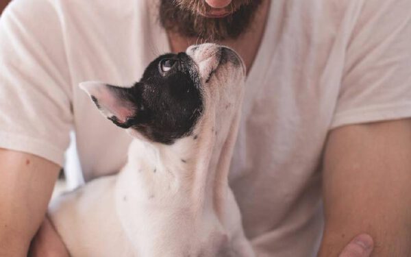 Por que algumas pessoas atraem cachorros?
