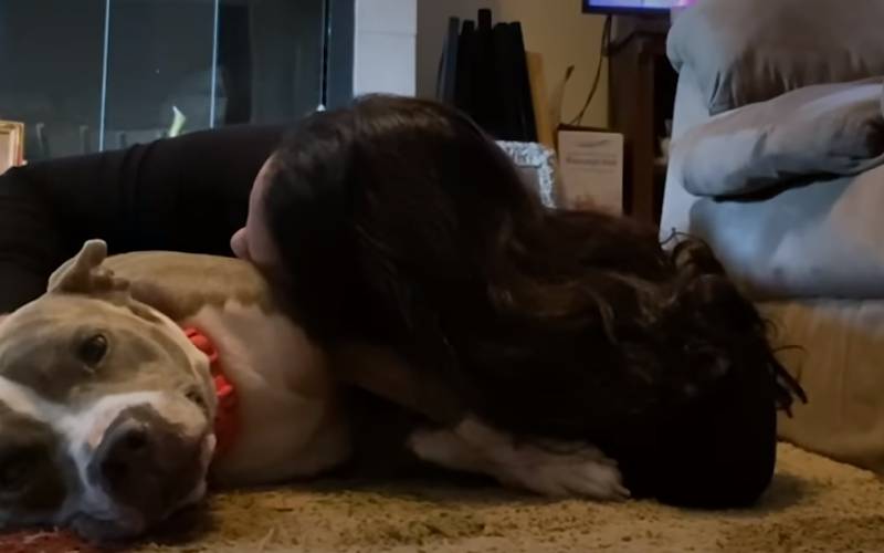 Cachorra desnutrida abandonada encontra a pessoa perfeita para ajudá-la Cachorra-pele-e-ossos-encontra-a-pessoa-perfeita-para-ajuda-la