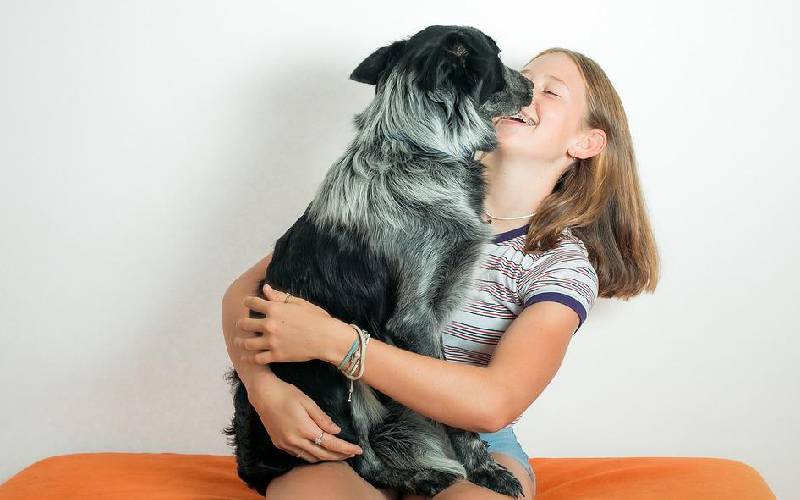 O país em que ter cães e gatos em casa pode em breve se tornar crime O país em que ter cães e gatos em casa pode se tornar crime
