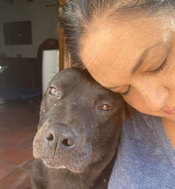 A alegria de uma cachorra grávida ao ver que está sendo resgatada A alegria de uma cachorra grávida ao ver que está sendo resgatada