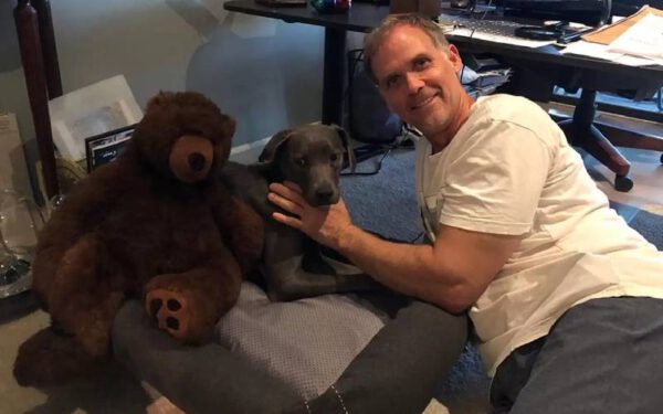 Cadela abandonada pela família se apega a brinquedo de pelúcia Cadela abandonada pela família se apega a brinquedo de pelúcia