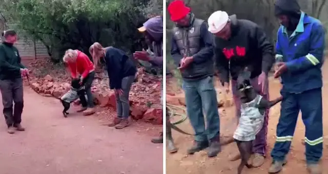 Depois de seis anos, cachorro finalmente dá adeus a abrigo se despedindo de todos os cuidadores depois-de-seis-anos-cachorro-finalmente-da-adeus-a-abrigo