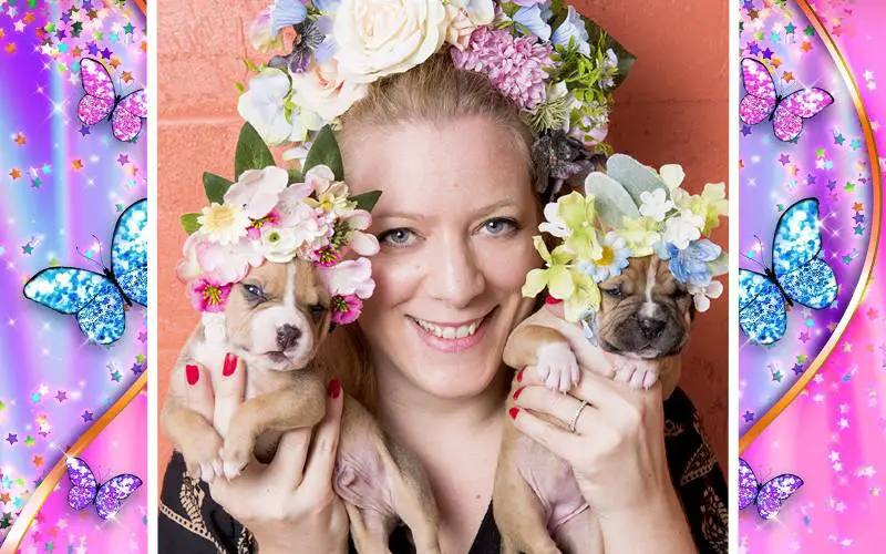 Fotógrafa clica pitbulls para ajudá-los na adoção Fotógrafa clica pitbulls para ajudá-los na adoção