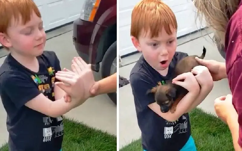 Menino economiza para comprar um cachorrinho, mas sua mãe pede para fechar os olhos e esticar os braços Menino economiza para comprar um cachorrinho, mas sua mãe pede para fechar os olhos e esticar os braços