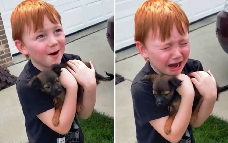 Menino economiza para comprar um cachorrinho, mas sua mãe pede para fechar os olhos e esticar os braços Menino economiza para comprar um cachorrinho, mas sua mãe pede para fechar os olhos e esticar os braços