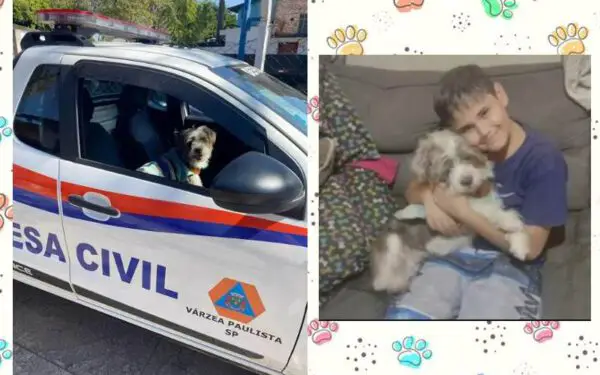 Menino se emociona ao reencontrar sua cachorrinha desaparecida: 'Chorei de felicidade' Menino se emociona ao reencontrar sua cachorrinha desaparecida: 'Chorei de felicidade'