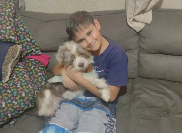 Menino se emociona ao reencontrar sua cachorrinha desaparecida: 'Chorei de felicidade' Menino se emociona ao reencontrar sua cachorrinha desaparecida: 'Chorei de felicidade'