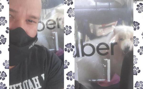 Motorista de aplicativo adota cachorra que seria sacrificada: "Deus me deu essa oportunidade!" Motorista de aplicativo adota cachorra que seria sacrificada: "Deus me deu essa oportunidade!"