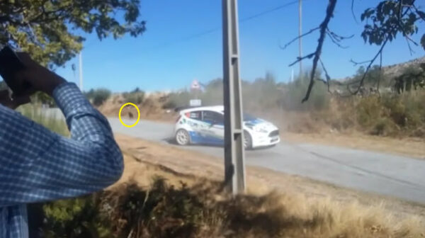 Piloto perde chance de título para não atropelar cachorro que apareceu na pista Piloto perde chance de título para não atropelar cachorro que apareceu na pista