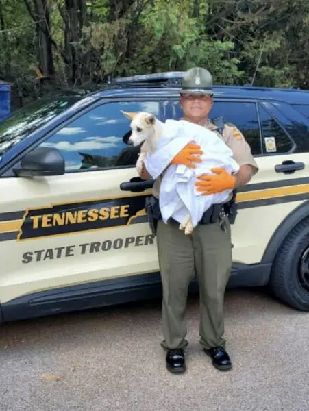 Policial adota cachorra depois de salvá-la do calor extremo