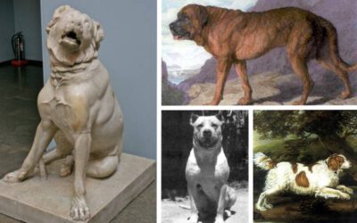 16 raças de cães que não existem mais