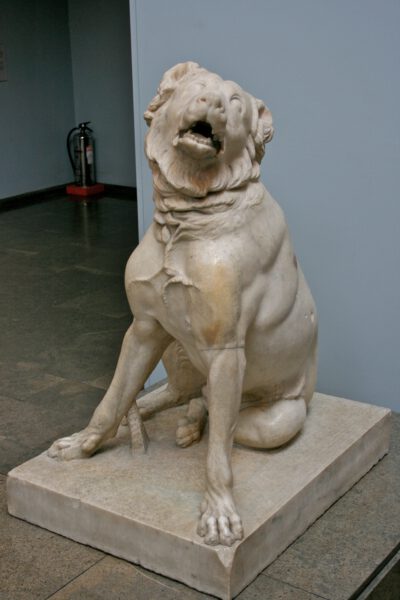 16 raças de cães que não existem mais raças de cães que não existem mais
