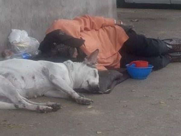Sem teto protege a cachorra nas ruas "Prefiro viver na rua do que deixar minha cachorra" sem-teto-protege-a-cachorra-nas-ruas