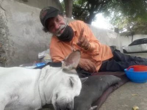 Sem teto protege a cachorra nas ruas "Prefiro viver na rua do que deixar minha cachorra" sem-teto-protege-a-cachorra-nas-ruas