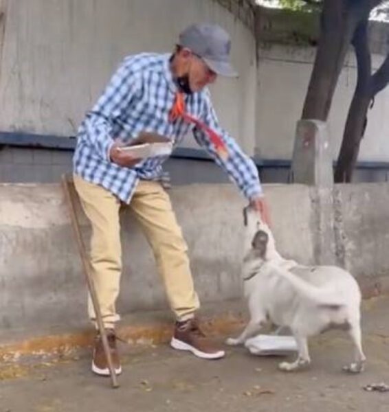 Sem teto protege a cachorra nas ruas "Prefiro viver na rua do que deixar minha cachorra" sem-teto-protege-a-cachorra-nas-ruas