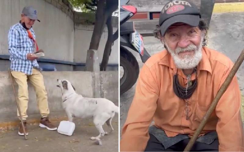 Sem teto protege a cachorra nas ruas "Prefiro viver na rua do que deixar minha cachorra" sem-teto-protege-a-cachorra-nas-ruas