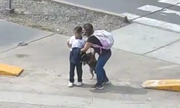 Cachorrinha com medo de atravessar a rua é levado pela pata por sua mãe Cachorrinha com medo de atravessar a rua é levado pela pata por sua mãe