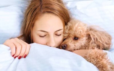 Os-beneficios-de-dormir-com-o-cachorro