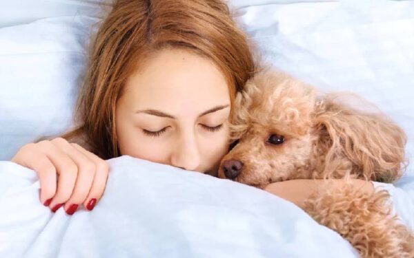 benefícios de dormir com o cachorro