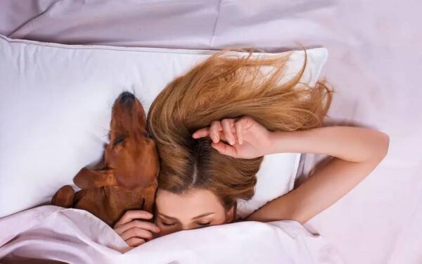 benefícios de dormir com o cachorro