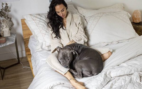 benefícios de dormir com o cachorro