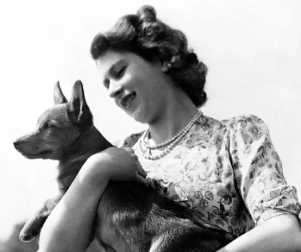 Os cães da rainha Elizabeth II
