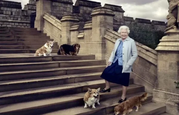 Os cães da rainha Elizabeth II