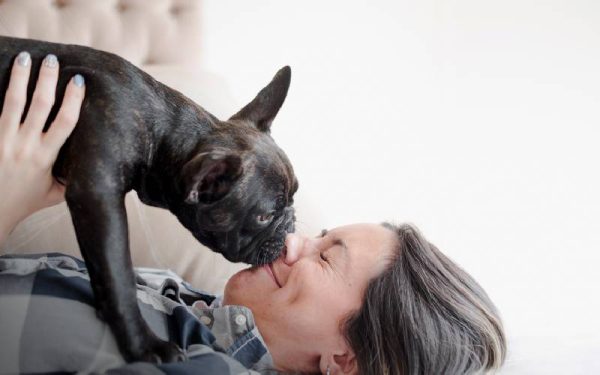 fatos surpreendentes sobre os cachorros