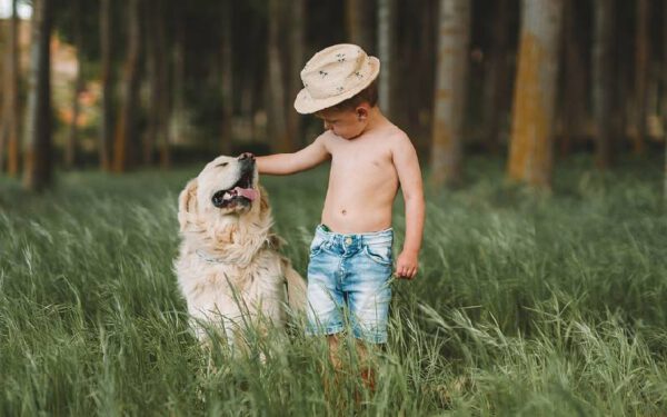 benefícios da convivência entre crianças e cachorros