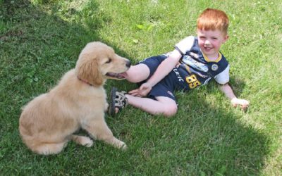 09 benefícios da convivência entre crianças e cachorros