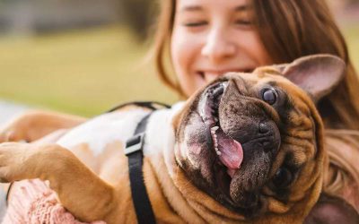 dez-beneficios-comprovados-de-viver-com-um-cachorro