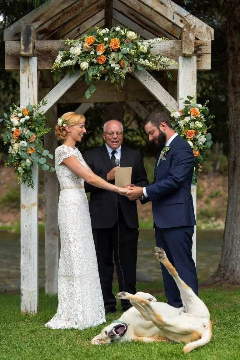 Fotos de cachorros fofos (para aquecer o seu coração) posts-de-cachorros-fofos