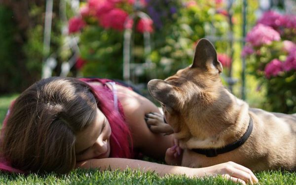 Seu cachorro é ligado a você? Descubra aqui