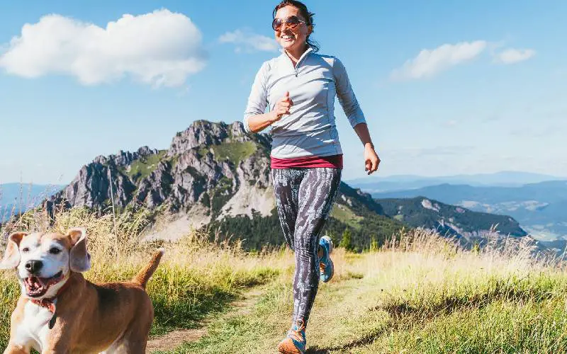 Viver com cachorros prolonga a vida humana