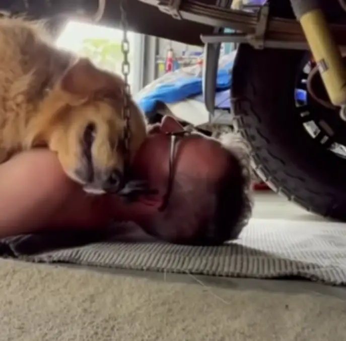 Cachorro resgatado abraça adoravelmente seu pai até debaixo do carro Cachorro-abraca-o-tutor-ate-debaixo-do-carro