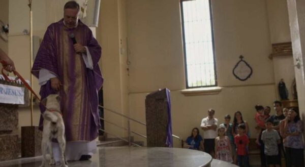 Padre-brasileiro-deixa-caes-na-igreja
